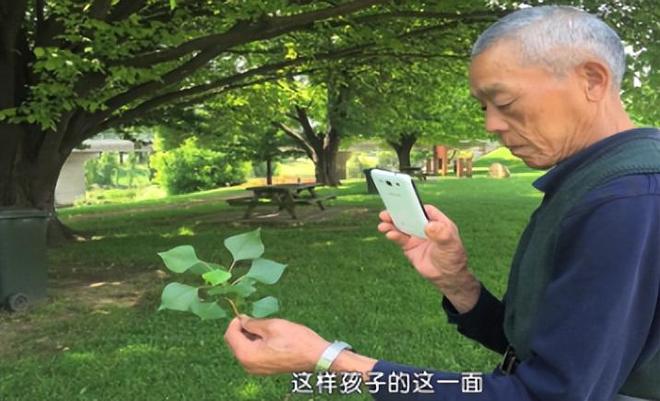 江苏小伙将患癌父亲骗到国外从4200米高空跳伞结局令人泪目