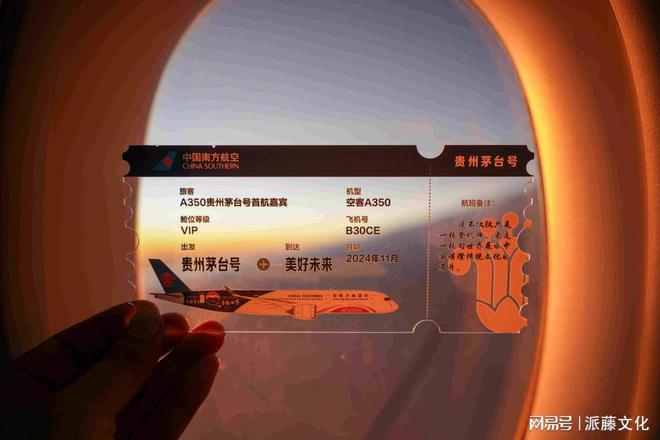 熊猫体育：蓝天高端范东海航空广告秀(图2)