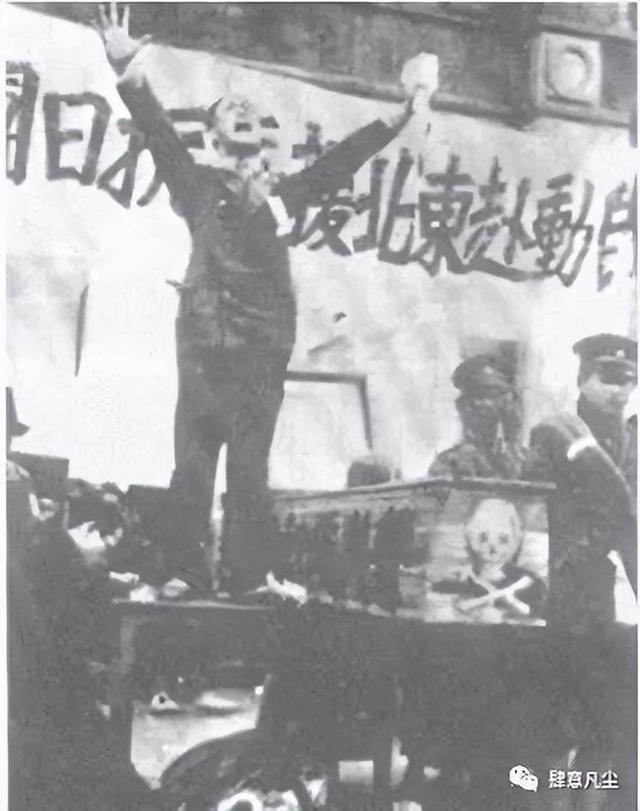 回顾抗日战争最刺痛人心照片(图8)