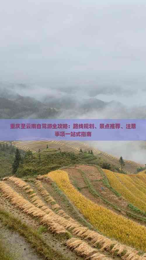 重庆至云南自驾游全攻略：路线规划、景点推荐、注意事项一站式指南(图6)