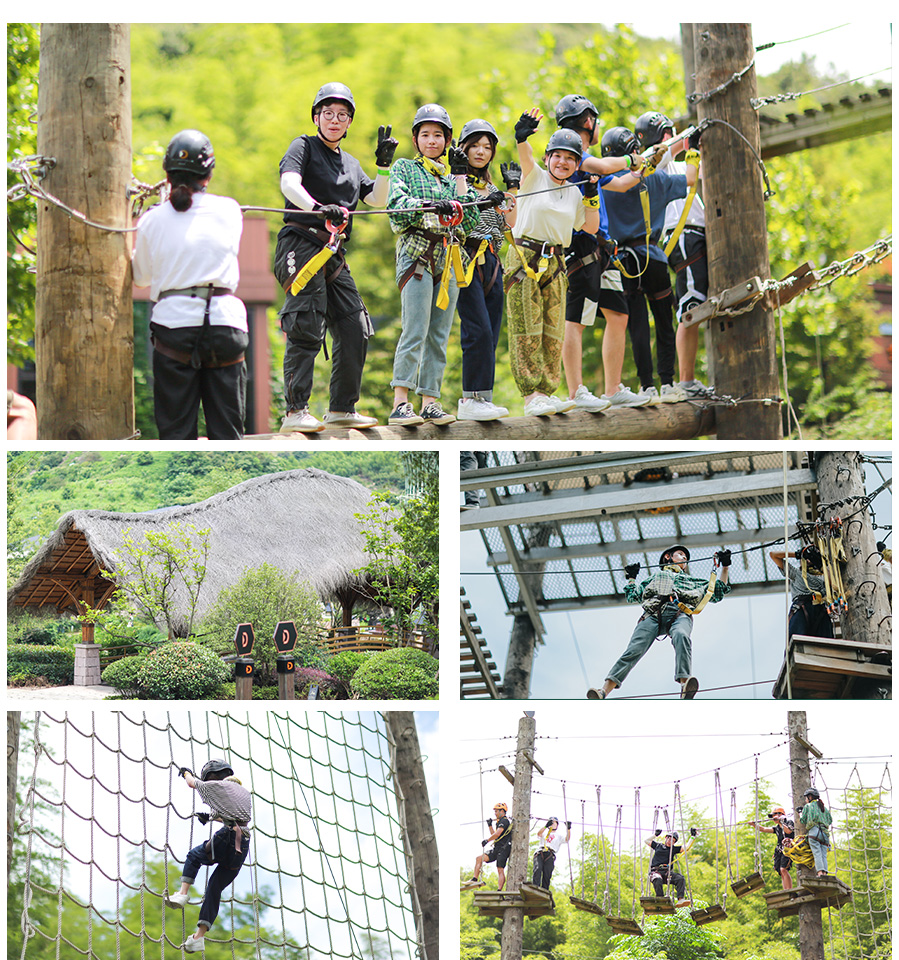 我们的节日·欢乐中国年丨“蛇年闹春旅居宣威”系列活动 先睹为快！丨品牌活动篇