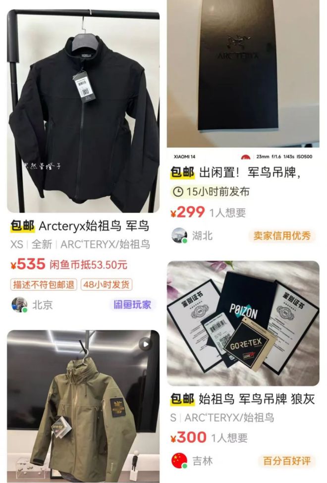 “一鸟难求”中产为何偏爱始祖鸟？(图5)
