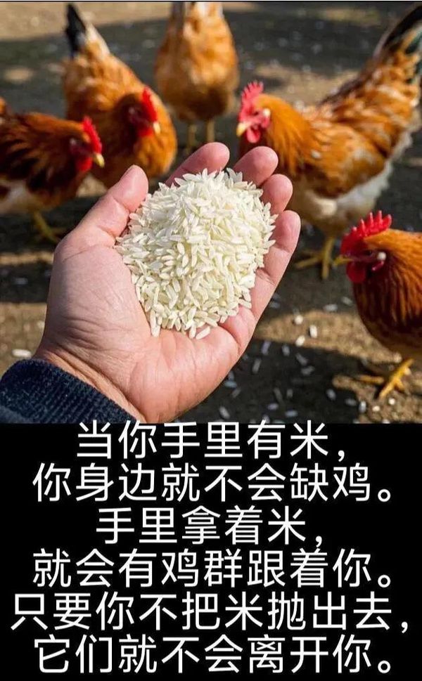 熊猫体育资讯：轻松一刻：她只是来推销内衣老婆我没骗你！(图5)