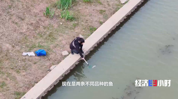 熊猫体育：低空经济爆发！这些“会飞”的工作正吃香→(图7)