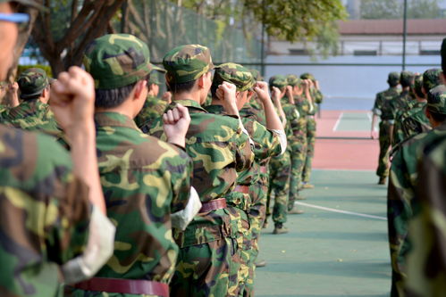 熊猫体育：军训搞什么项目赚钱多呢军训搞什么项目赚钱多呢女生(图2)