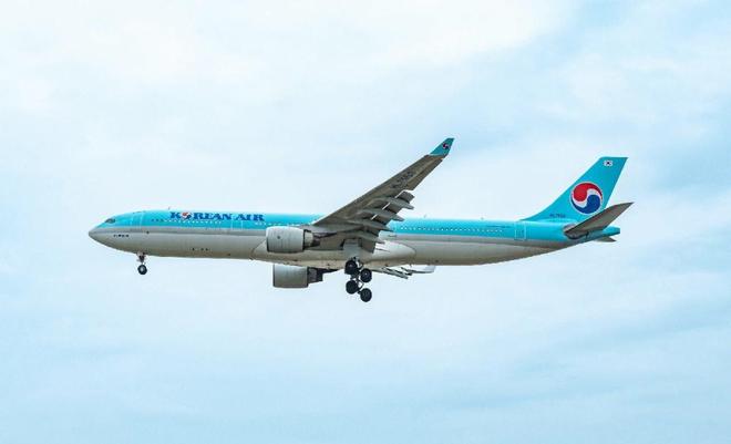 回顾：若飞机失事从5000米高空自由落体掉入水中有机会存活吗？(图8)