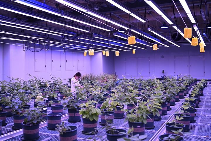向智！创新力成就生产力(图8)