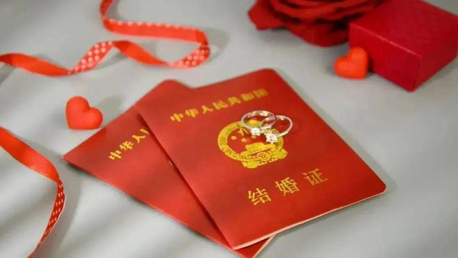 江门中院发布全市法院2024年度典型案例(图8)