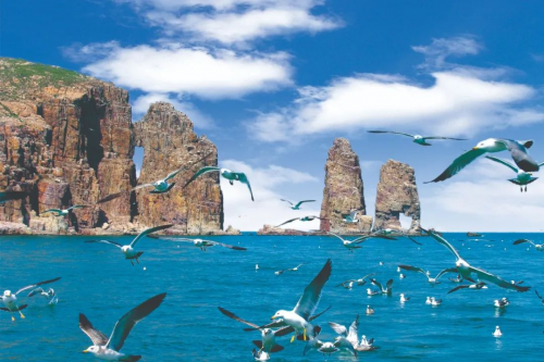 “沿着黄河遇见海”山东省文化和旅游厅携手山东航空打造沉浸式齐鲁文化之旅(图3)