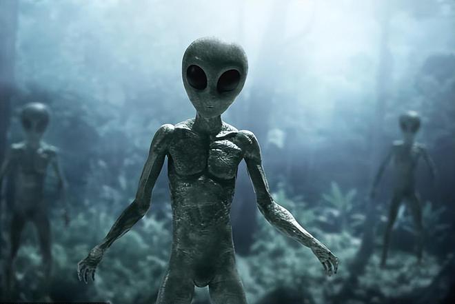 熊猫体育：美国政府知晓的四类外星生物它们或是不明飞行器操控者(图2)
