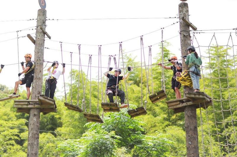 股市必读：太力科技（301595）9月23日披露最新机构调研信息(图1)